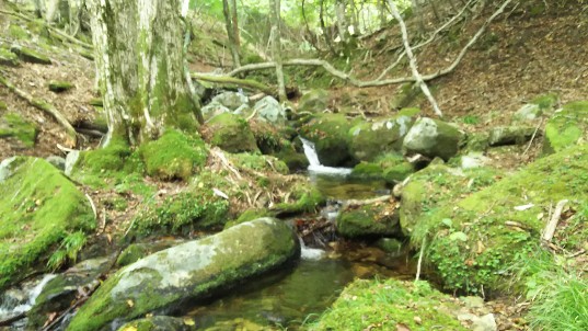 f:id:yukirikupapa:20190924164928j:plain