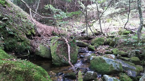 f:id:yukirikupapa:20190924165346j:plain