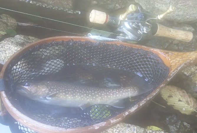 f:id:yukirikupapa:20191002123555j:plain