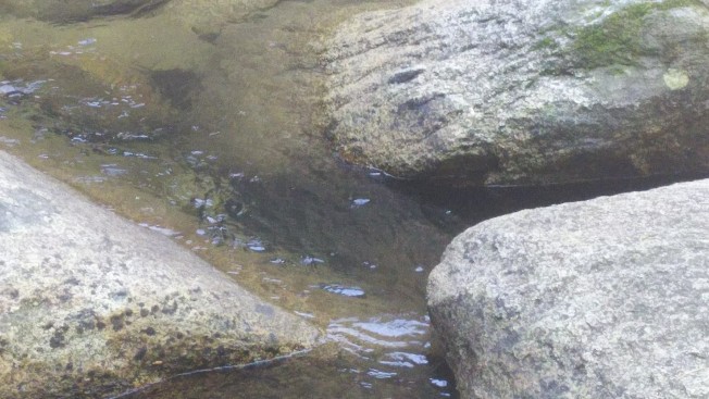 f:id:yukirikupapa:20191002123953j:plain