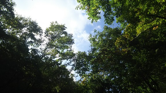 f:id:yukirikupapa:20191002124155j:plain