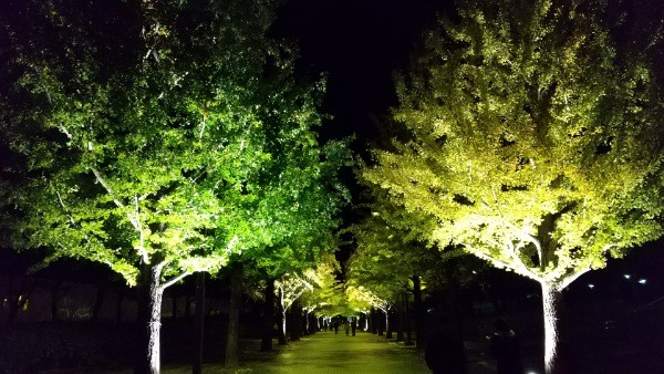 f:id:yukirikupapa:20201024205530j:image