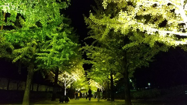 f:id:yukirikupapa:20201024205544j:image