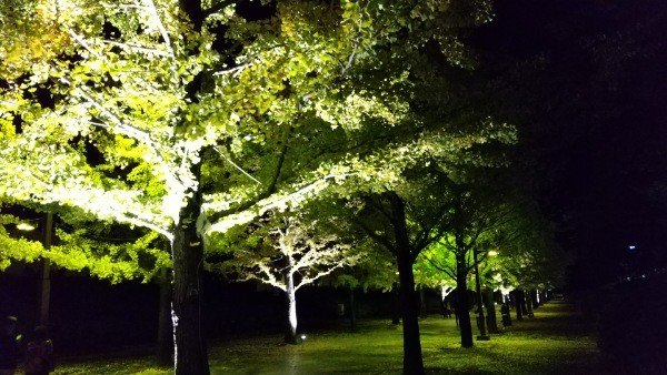 f:id:yukirikupapa:20201024205603j:image