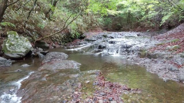 f:id:yukirikupapa:20210523182051j:image