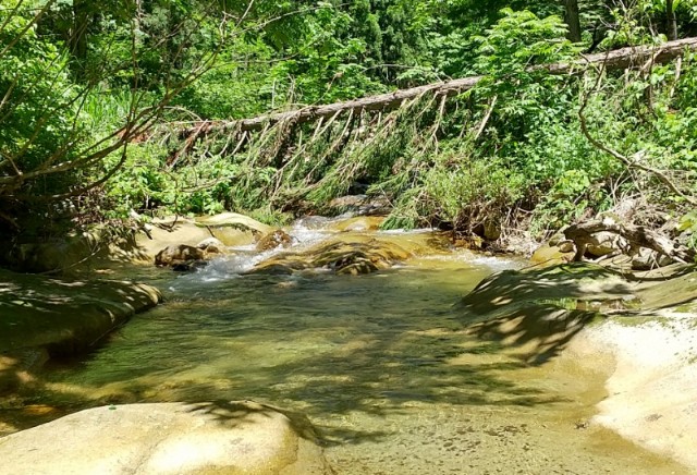 f:id:yukirikupapa:20210605164007j:image