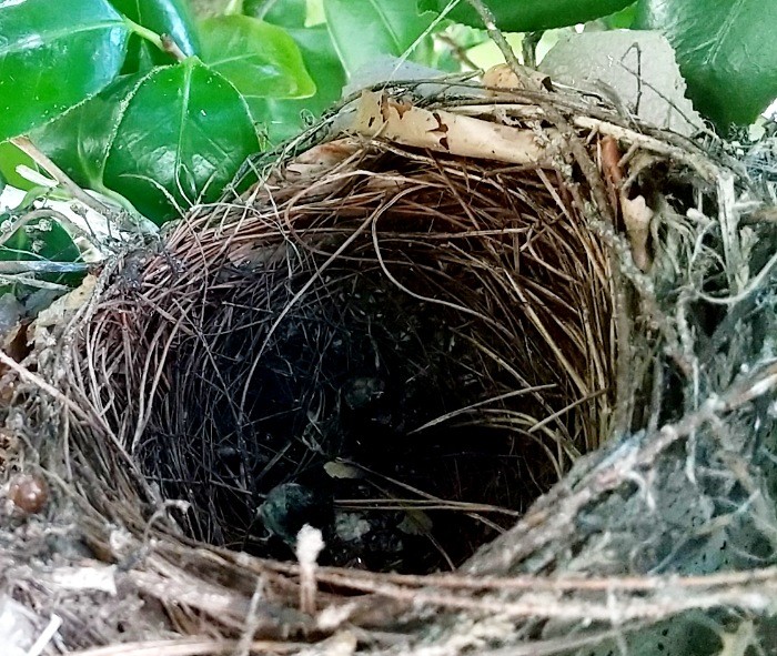 f:id:yukirikupapa:20210711000522j:image