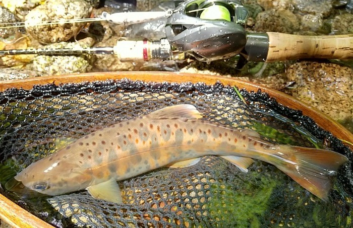 f:id:yukirikupapa:20210829225745j:image f:id:yukirikupapa:20210829225745j:image