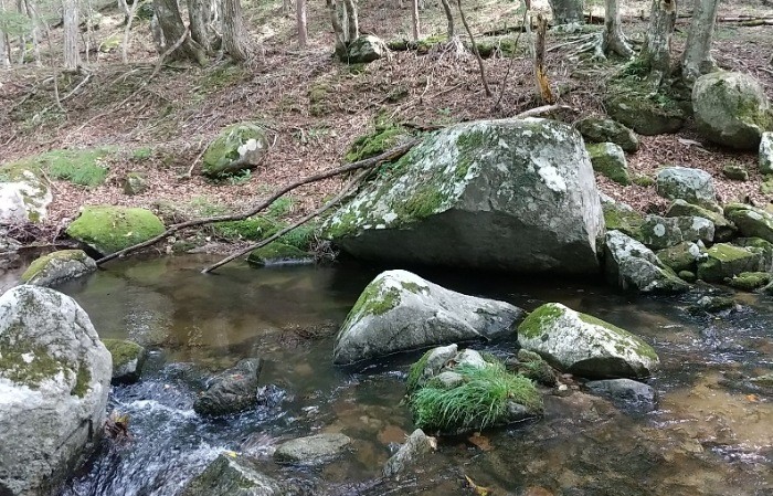 f:id:yukirikupapa:20210830060520j:image f:id:yukirikupapa:20210830060520j:image