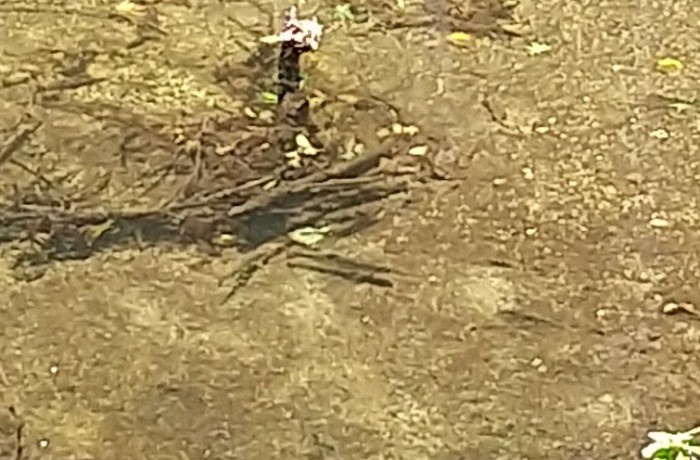 f:id:yukirikupapa:20210830060540j:image f:id:yukirikupapa:20210830060540j:image