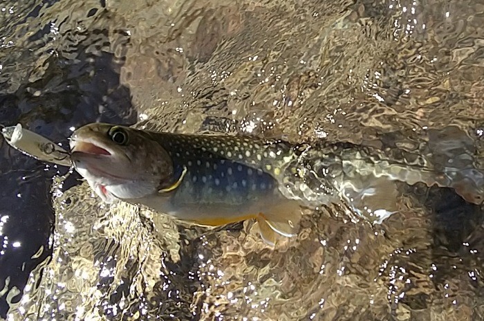 f:id:yukirikupapa:20210921125920j:image