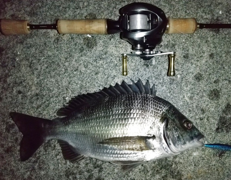 f:id:yukirikupapa:20220805000100j:image