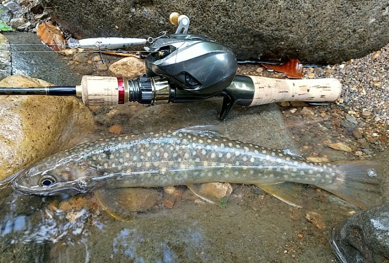 f:id:yukirikupapa:20220919082436j:image