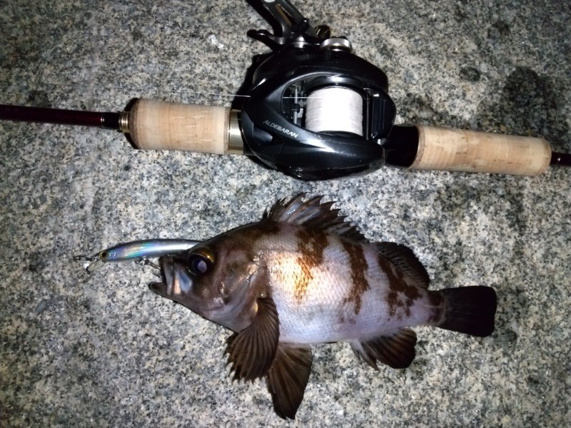 f:id:yukirikupapa:20221018210553j:image