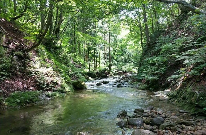 f:id:yukirikupapa:20230617194420j:image