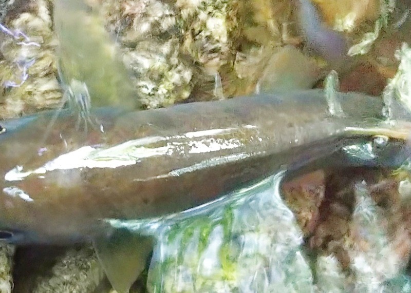 f:id:yukirikupapa:20230926212853j:image