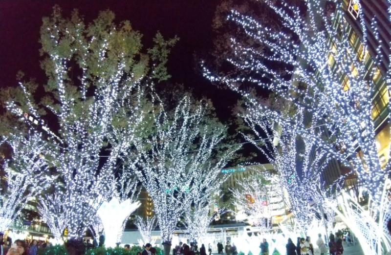 f:id:yukirikupapa:20231117174712j:image