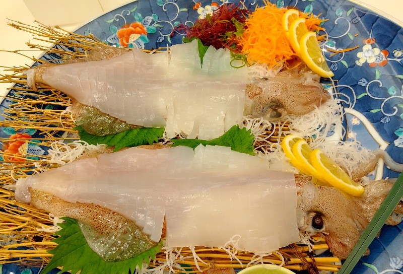 f:id:yukirikupapa:20231117175942j:image