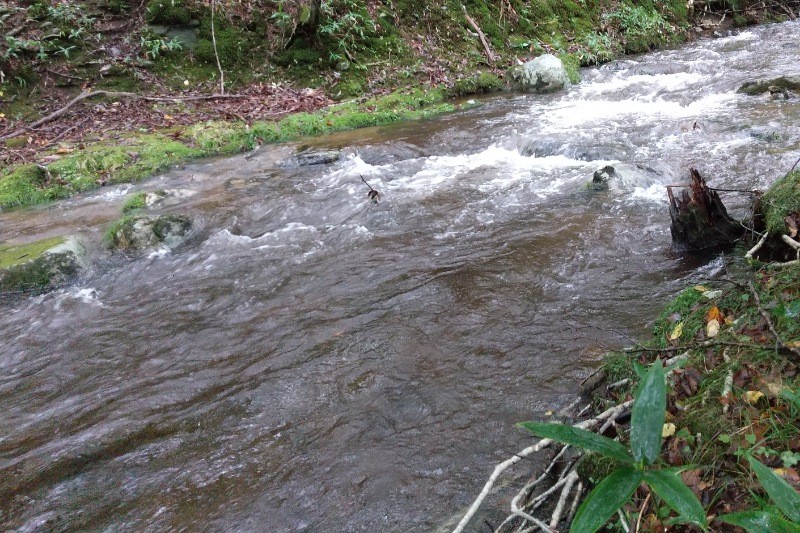 f:id:yukirikupapa:20240924215436j:image