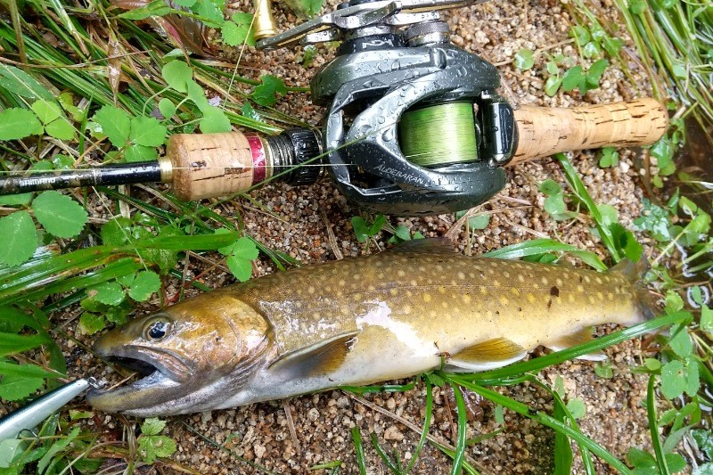 f:id:yukirikupapa:20240924215720j:image