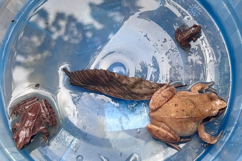 f:id:yukirikupapa:20241001225223j:image