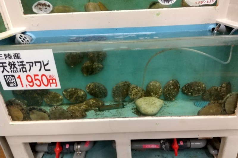 f:id:yukirikupapa:20241001232127j:image