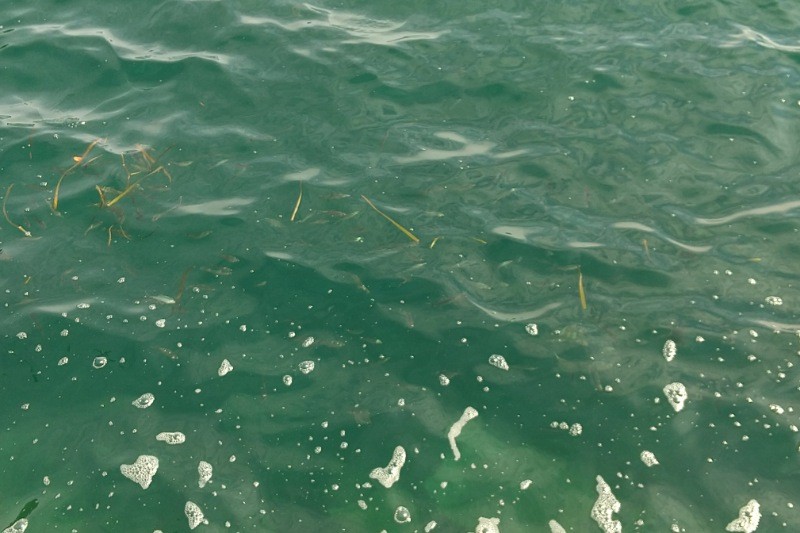 f:id:yukirikupapa:20241001232224j:image