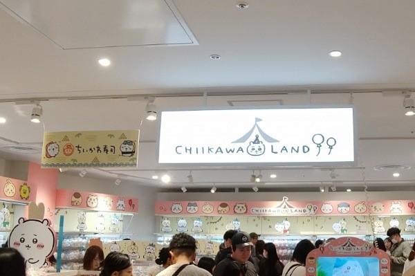 f:id:yukirikupapa:20241015222345j:image f:id:yukirikupapa:20241015222345j:image