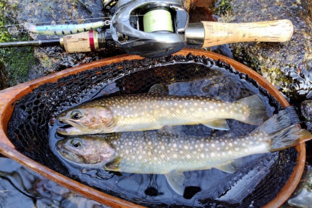 f:id:yukirikupapa:20250429095501j:image