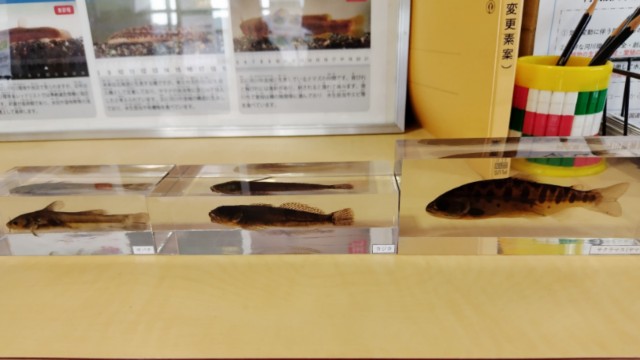 f:id:yukirikupapa:20250727232033j:image