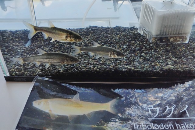 f:id:yukirikupapa:20250903235054j:image