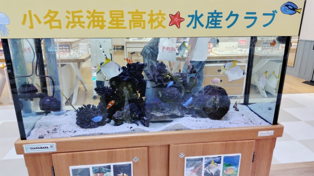 f:id:yukirikupapa:20260803131216j:image f:id:yukirikupapa:20260803131216j:image
