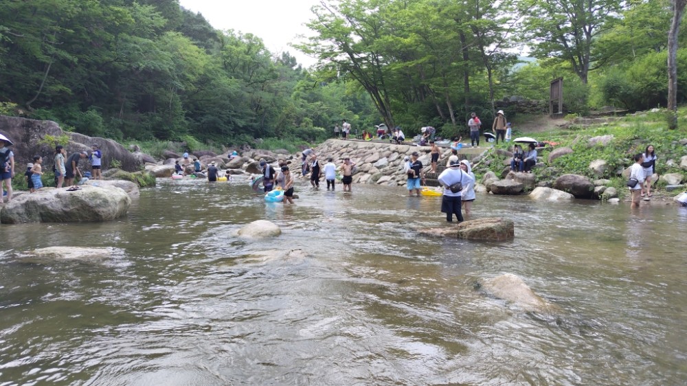 f:id:yukirikupapa:20260809083444j:image f:id:yukirikupapa:20260809083444j:image