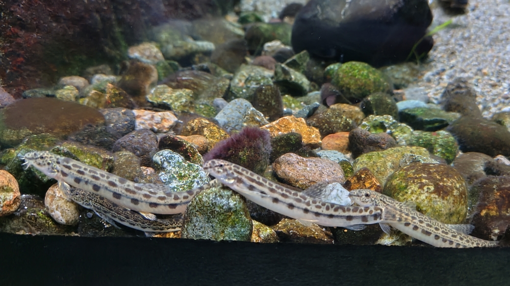 f:id:yukirikupapa:20261005221051j:image f:id:yukirikupapa:20261005221051j:image