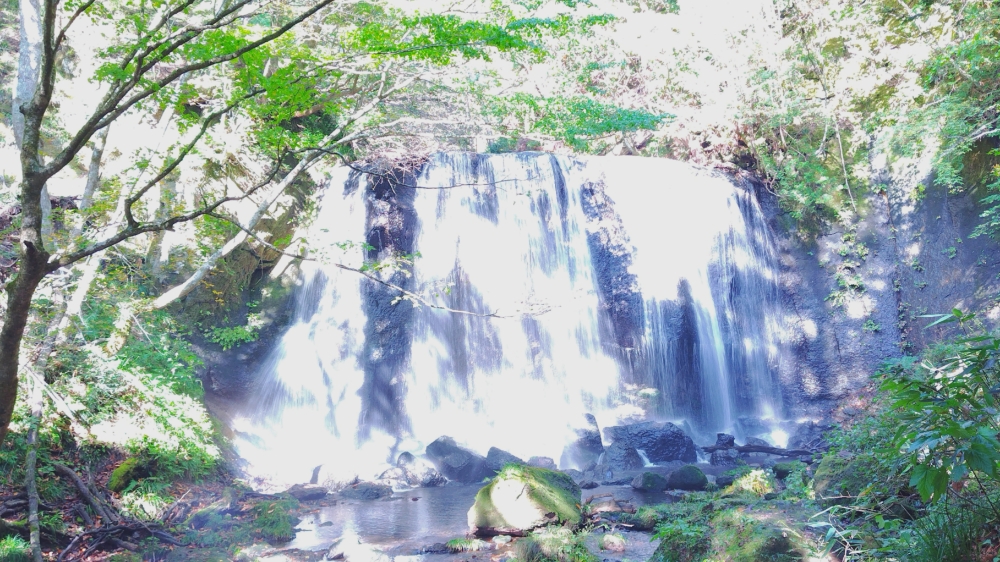 f:id:yukirikupapa:20261011090953j:image f:id:yukirikupapa:20261011090953j:image