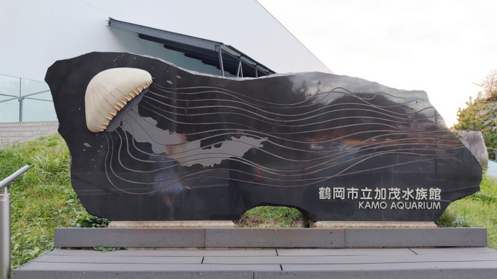 f:id:yukirikupapa:20261012223313j:image f:id:yukirikupapa:20261012223313j:image