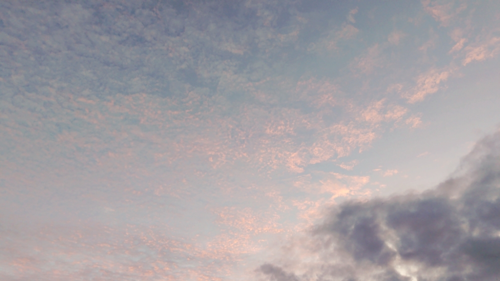 f:id:yukirikupapa:20261013073257j:image f:id:yukirikupapa:20261013073257j:image