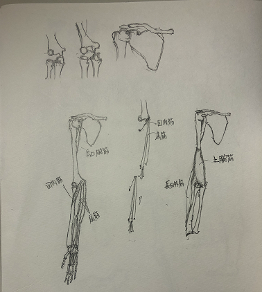 f:id:yukirunrun:20210727011304p:plain