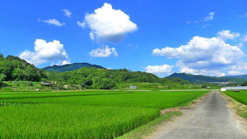 f:id:yukisaito0:20110804134033j:plain f:id:yukisaito0:20110804134033j:plain