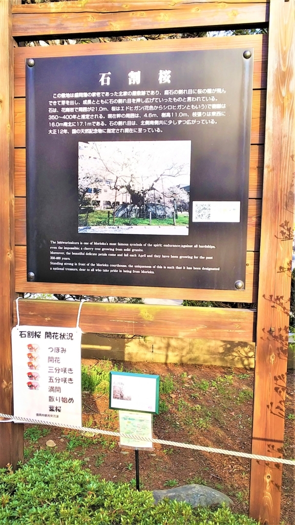 石割桜の案内板の画像