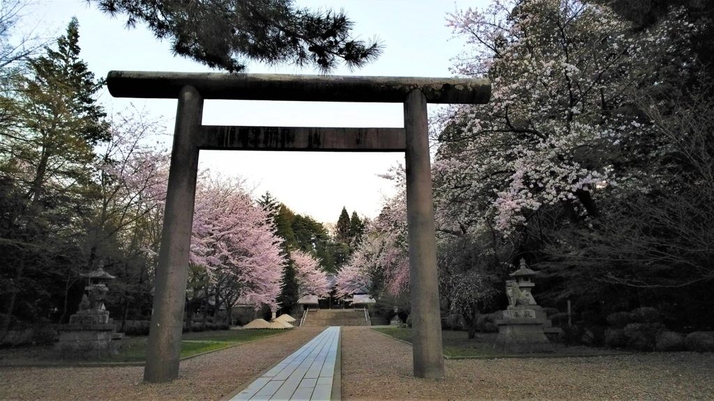 岩手護国神社境内の桜の画像