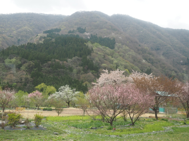 f:id:yukisigekuni:20180416203703j:plain