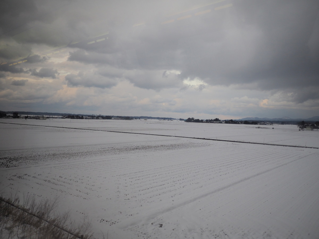 f:id:yukisigekuni:20190217163329j:plain