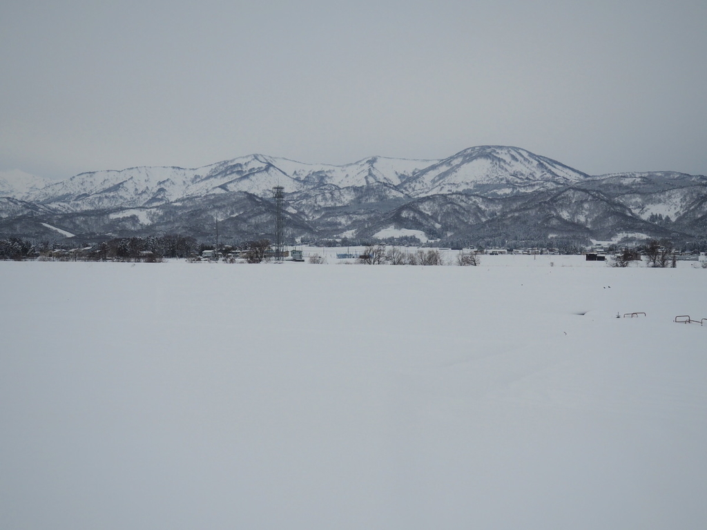 f:id:yukisigekuni:20190222222927j:plain f:id:yukisigekuni:20190222222927j:plain