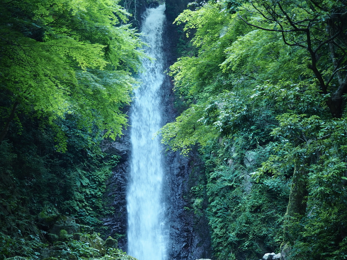 f:id:yukisigekuni:20190608164831j:plain
