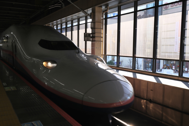 f:id:yukisigekuni:20210314202752j:plain