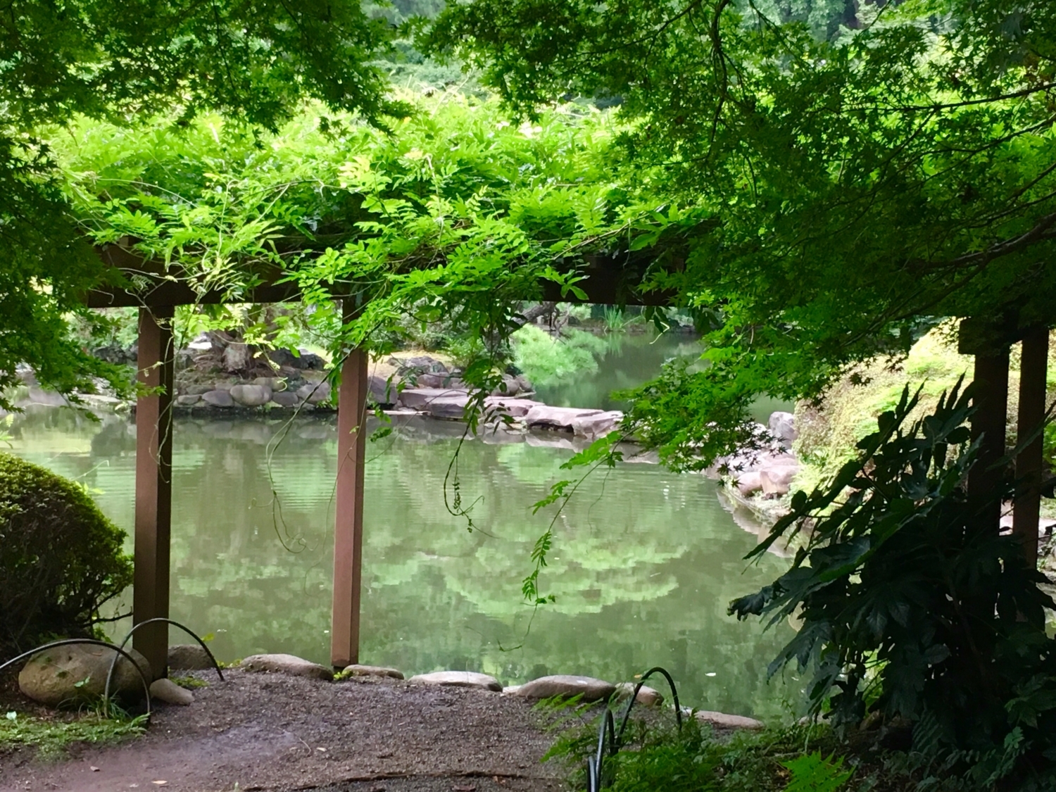 言の葉の庭の聖地 新宿御苑に行ってきました 東雲の気まぐれな創造