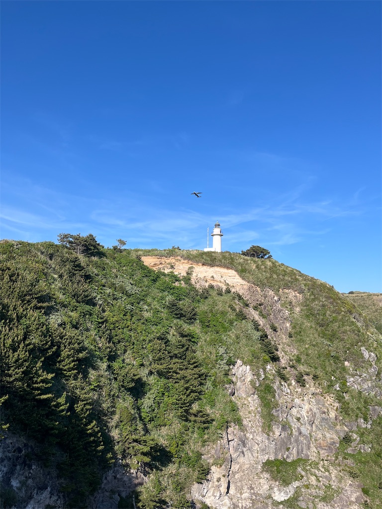 f:id:yukit7s:20250509001627j:image