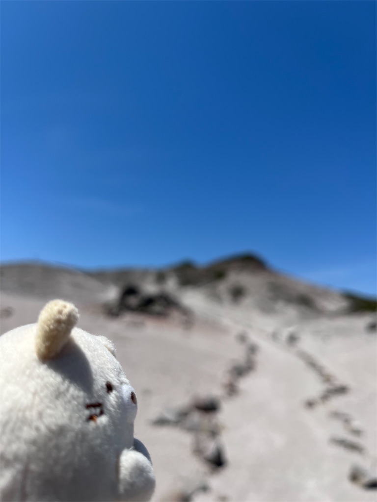 f:id:yukit7s:20250509001638j:image