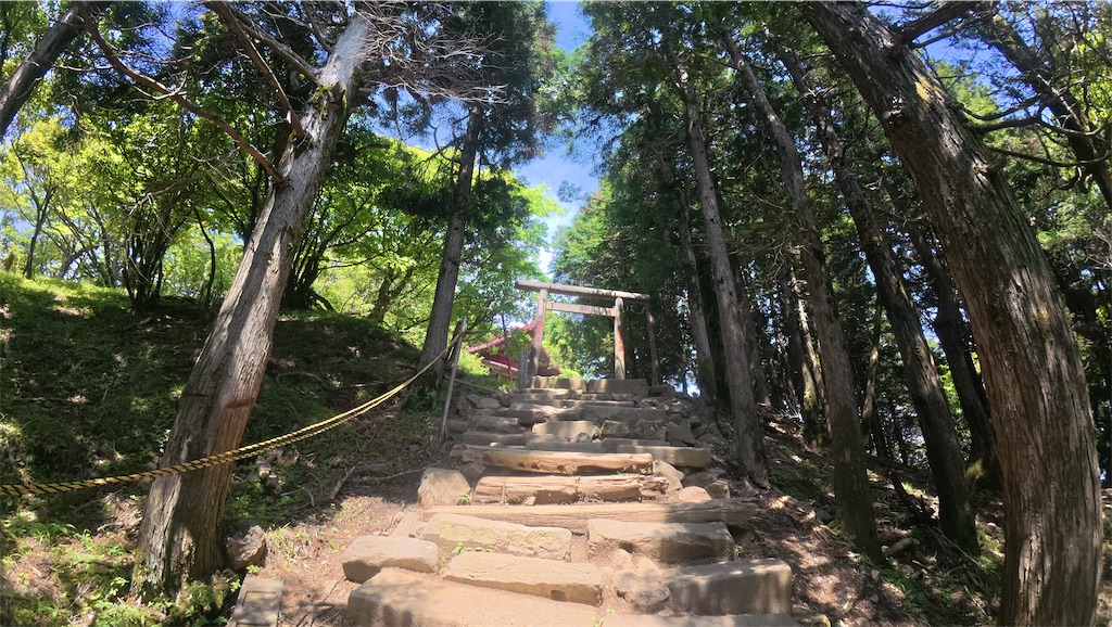 f:id:yukit7s:20250616081731j:image